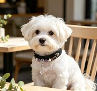 Collier pour animaux de compagnie en cuir PU réglable, orné de perles de pierres précieuses classiques faites à la main, avec collier en cristal pour chats et chiens, cadeau pour les amoureux des animaux