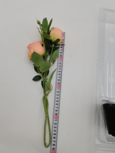 Hộp nhựa PVC dạng vỏ sò đựng cây giống sống, trong suốt, dùng để vận chuyển - Product Image 4