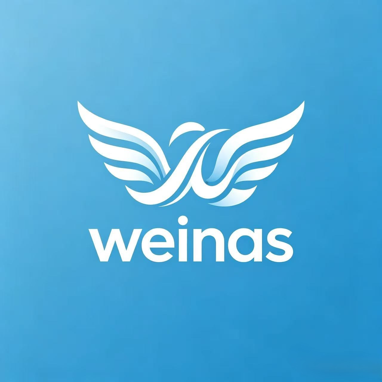 Dongyang Weinas Accessories Factory(Individual Business)