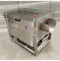 Professionele Wortels Groentewasmachine Dunschiller Polijstmachine Voor Gember Aardappel Taro