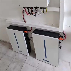Deye Laagspanning Muur Gemonteerde Batterij RW-M6.1-B Lifepo4 Voor Thuisgebruik - Product Image 5