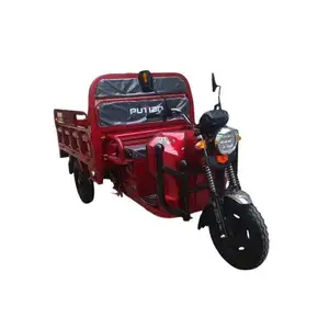 Factory Price Hot Sale 100Kg Three Wheel Electric Tricycle Folding Mobility R Airline Approved For Transportation