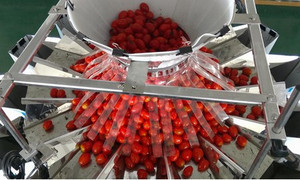 Automatic 10/14 Heads <strong>Weigher</strong> Scale Cherry Tomatoes Clamshell Punnet Tray Weighing <strong>Multihead</strong> <strong>Weigher</strong> For Packaging <strong>Machine</strong> - Product Image 4