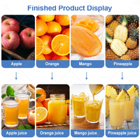HNOC Gas Fresh Wortelsap Productiefaciliteit Kleinschalige Apparatuur voor de Verwerking van Fruitsap