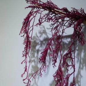 <span class=keywords><strong>Club</strong></span> japonais mousse mur et plafond suspendus à la main pierre naturelle préservée pin pour mariage ou décoration intérieure pour la Saint-Valentin - Product Image 4