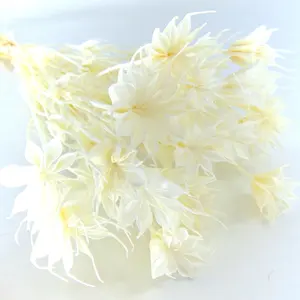 سجل سعر سعر الأبيض المحفوظة زهور مجففة تيد bakerlayered باقة للأبد الزهور المحفوظة
