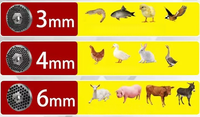 Machine à granulés pour aliments pour poissons et volailles, ligne de production de granulés flottants pour animaux de compagnie, capacité 200-300 kg/h