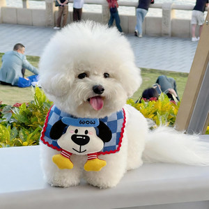 Baberos para mascotas, chales, juguetes de peluche 3D para perros, baberos para la baba, bufandas y poses fotográficas para perros pequeños y medianos como el Bichón - Product Image 3