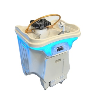 Kisen Nouveau Lavabo Portable pour Shampooing et Spa Capillaire, Sans Tuyauterie, avec Chauffe-Eau à 2 Réservoirs et Arche Dorée - Product Image 1