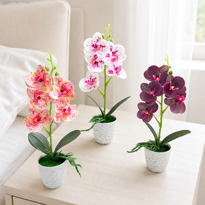 Orquídea Phalaenopsis Artificial con Maceta de 30 Pulgadas, Decoración Floral para Interiores del Hogar - Product Image 2