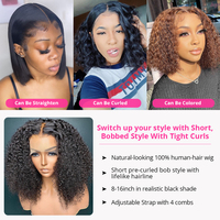 Perruques Courtes Bob Pixie Bouclées Brut Birman Ondulées Profondes HD Frontal Cheveux Humains Pour Femmes