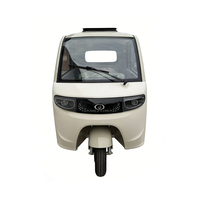Tricycle électrique à 3 roues 1000W, véhicule 4 places pour adultes, mini véhicule électrique de livraison avec carrosserie fermée pour le transport de marchandises