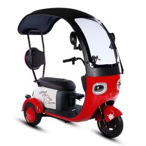 Adulte <span class=keywords><strong>3</strong></span> <span class=keywords><strong>roues</strong></span> mobilité <span class=keywords><strong>électrique</strong></span> Trike <span class=keywords><strong>Scooter</strong></span> <span class=keywords><strong>avec</strong></span> <span class=keywords><strong>toit</strong></span> Tricycle <span class=keywords><strong>électrique</strong></span> pour passagers - Product Image 4