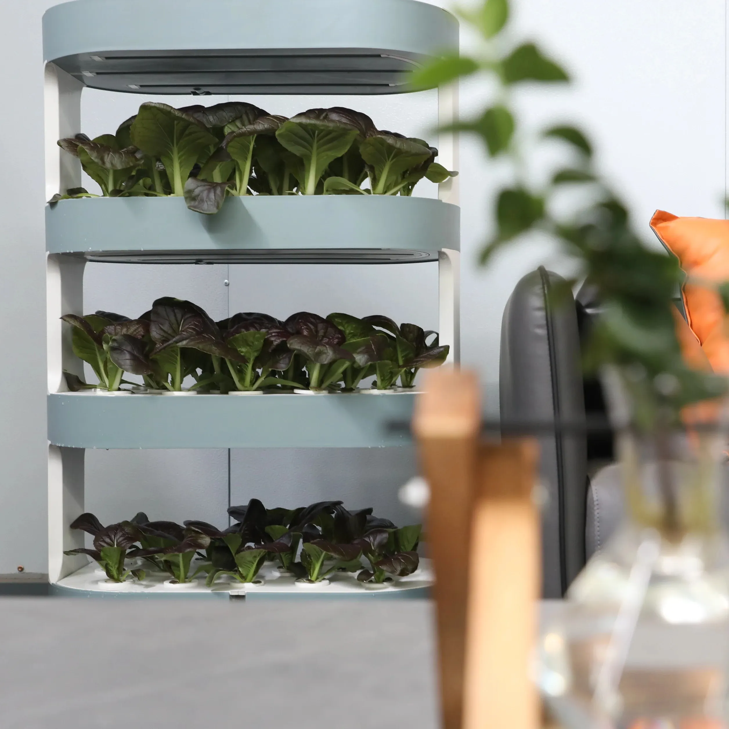 Sistema hidropónico para interiores, maceta de verduras para el hogar inteligente con luces LED para cultivo de plantas