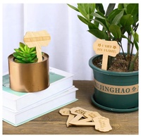 Étiquettes de jardin 24 Pcs Marqueurs de plantes amusants Étiquettes de plantes en bois pour fleurs potagères Plantes en pot de jardin