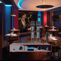 Sans fil professionnel pour microphone Bluetooth avec ajusteur de volume de réverbération micro portable en métal motif polaire cardioïde