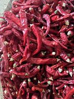 Piment de Cayenne AD, graines de piment séchées et ail, épice au piment en poudre, brut, traité, sans additifs