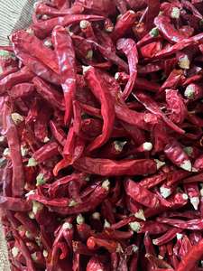 Pimiento Cayena AD, Semillas de Chile Secas y Especias de Chile con <span class=keywords><strong>Ajo</strong></span> en Polvo, Procesado Crudo Sin Aditivos - Product Image 2