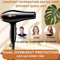 Pengering Rambut Salon yang Ditingkatkan dengan Nozzle Konsentrator, Motor AC 2200W, Perlindungan Panas, Desain Ramah Perjalanan, Pengeringan Instan, Hotel