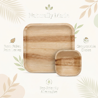Assiettes jetables en feuilles de palmier, qualité supérieure, naturelles, sans danger pour les aliments, écologiques, biodégradables, sans BPA, compostables pour les événements, les fêtes, les barbecues