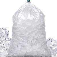 Sacs en plastique transparents personnalisés avec logo imprimé, à cordon de serrage, pour emballage de glaçons jetables de 8lb, 10lb, 20lb, vente en gros