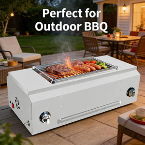 Parrilla de Barbacoa Eléctrica Comercial Multifuncional de Sobremesa, Parrilla de Barbacoa de Gas de Acero Inoxidable con Piedra Volcánica - Product Image 4