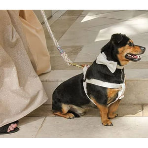 Arnés ajustable de alta calidad, juego de collar y correa para perros, fabricantes de <span class=keywords><strong>terciopelo</strong></span>, juego de arnés para perros sin tirones - Product Image 5