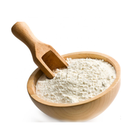 Nouveau produit certifié ISO 2023 – Compléments alimentaires populaires : Poudre de MCT de noix de coco C8, Poudre d'huile de noix de coco MCT