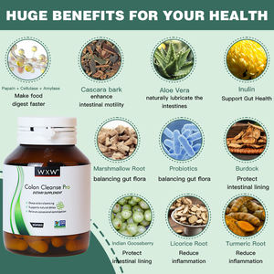 Produit de beauté féminin Nettoyage des intestins du côlon Restaurer la digestion Santé digestive Soutien immunitaire Supplément Capsules de santé intestinale - Product Image 2