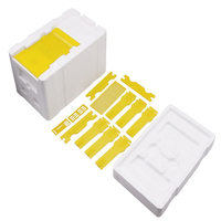 Matériel d'apiculture, boîte de ruche en plastique pour abeilles, ruche en mousse EPS, mini ruche pour la reproduction des reines, boîte de ruche