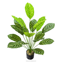 Tanaman Artifisial Terlaris Daun Calathea Orbifolia Plastik Buatan Tangan 65CM Ramah Lingkungan Tanaman Pot Natal untuk Meja Kerja Foto