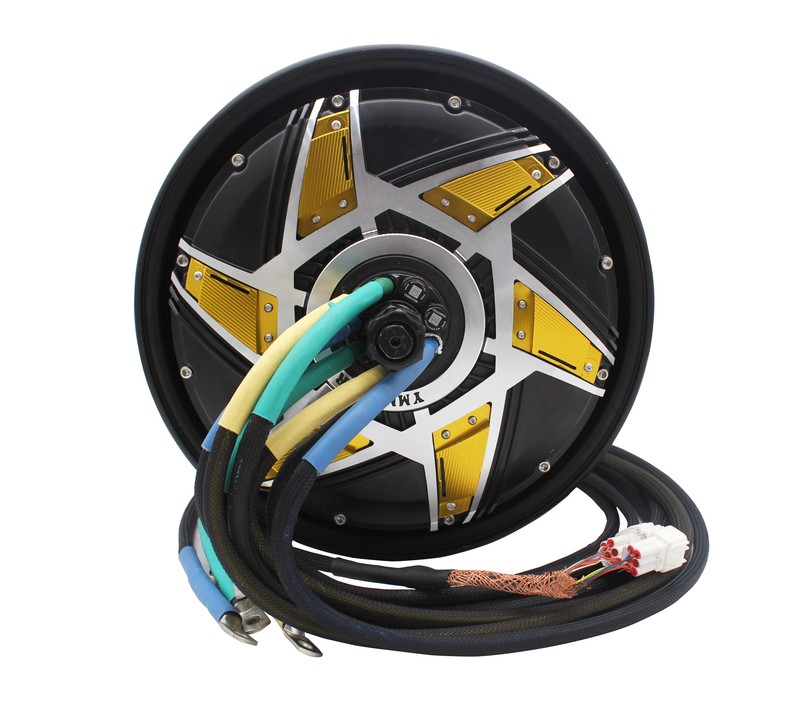 DKYSmotor 2000W Brushless Permanent Magnet Motor