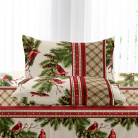 Ensemble de draps de lit en polyester biologique à motif de Noël Twin Full Queen King Size pour chambre d'enfant pour la maison ou l'hôtel