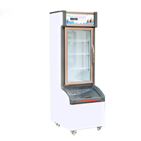 Congélateur commercial grand format pour boissons et légumes, vitrine réfrigérée pour supermarchés et dépanneuses, congélateur de conservation et de refroidissement