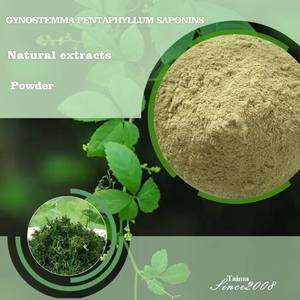 Estratto Erboristico di Gynostemma Pentaphyllum con Saponine 80% 98%, Polvere di Saponine di Gynostemma per Prodotti Salutari - Product Image 1