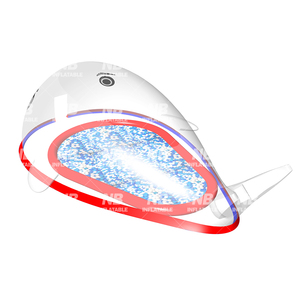 Tobogán Infantil de Grado Comercial para Exteriores con Piscina de Pelotas, Parque de Atracciones Inflable, Casa Transparente Inflable - Product Image 2