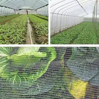 Malla para Pájaros para Huertos de Cerezas y Uvas, Invernaderos, HDPE Blanco, Antienvejecimiento, Garantía de 5 Años