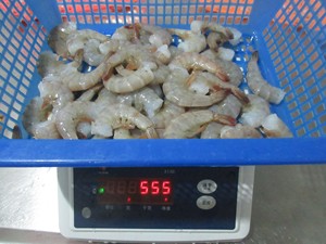 Suministro de China de alta calidad Fujian <span class=keywords><strong>o</strong></span> Shantou Factory Iqf Frozen Vannamei Shrimp - Product Image 5