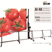 Impresora de Pared Portátil AI 4K, Impresora UV Vertical, Máquina de Murales para Publicidad Exterior