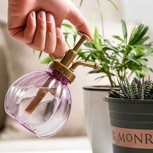 Plastic Gieter Kleurrijke Pompoen Water Vintage Gieter Besprenkelen Watersprenkeling Pot Vlees Spray Garde - Product Image 3