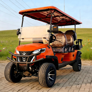 Carrito de Golf Eléctrico de Bajo Precio, 1-2 Plazas, Alto Rendimiento, Acero Q235B, Certificado CE, en Stock, Entrega Rápida - Product Image 1