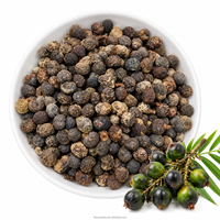Baies de Palmier Nain Séchées (Semenas de Serenoa Repens) – Récolte Sauvage – Morceaux, Sachet, Emballage, Mélange, Capsule, Extrait pour la Santé de la Prostate Masculine (OEM)