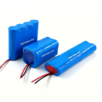 Paket Baterai Lithium-Ion 18650 Isi Ulang - Konfigurasi 7.4V 6000mAh, 11.1V 3000mAh, 3.7V 2200mAh. Output DC