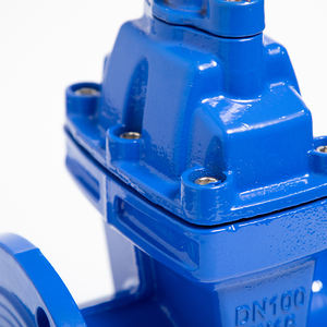 Zware uitvoering standaard DN100 PN16 zacht afdichtende gietijzeren flens afsluitbare schuifklep - Product Image 4