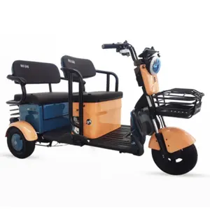 600W ba bánh xe đạp điện e-trike Scooter gấp ba bánh điện cho người lớn