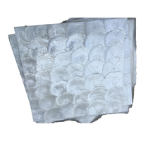 Dalle de mosaïque en coquille de Capiz naturelle de style moderne DTH STONE pour la décoration intérieure, les meubles DIY, les murs et le parquet – Qualité supérieure