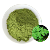 Pemasok Label pribadi OEM harga grosir 100% bubuk daun Moringa Oleifera murni