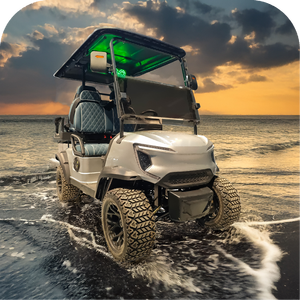 36V Hot-vente personnalisable 4 sièges 4x4 chassent les chariots électriques de voiture de golf - Product Image 1