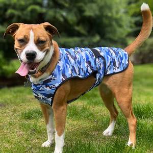 <b>Dog</b> Pet harnesses Camo Army Print Cooler Jacket for All Small to Very Large <b>Dogs</b> UV Protection for pet harnesses - Product Image 4