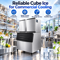 Machine à glaçons industrielle refroidie à l'eau 500 kg/jour avec compresseur, en acier inoxydable, pour usine de glace, PLC, garantie 1 an